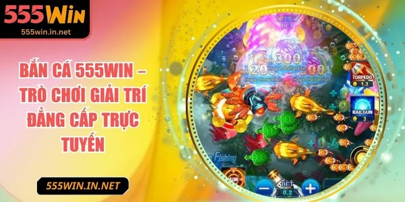 ban-ca-555win-anh-dai-dien