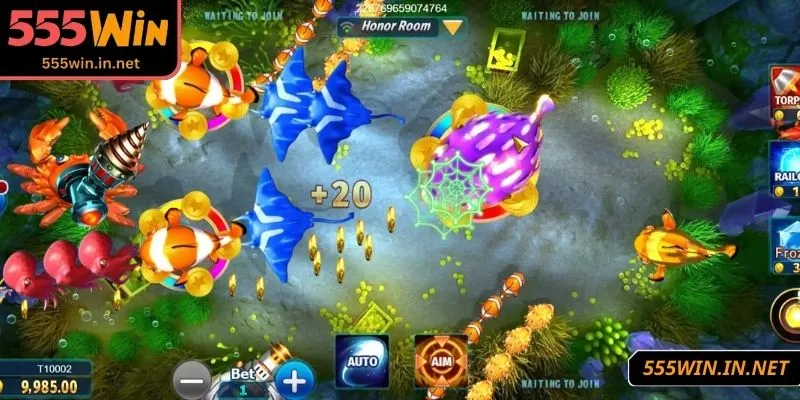 ban-ca-555win-cac-thong-tin-khi-tham-gia