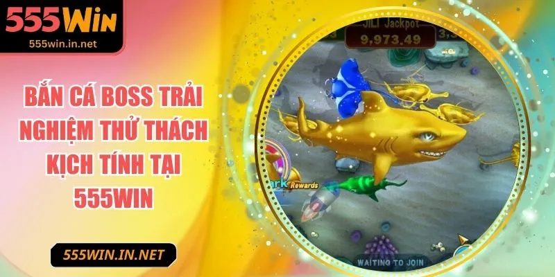 ban-ca-boss-anh-dai-dien