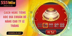 cach-nghe-tieng-xoc-dia-anh-dai-dien