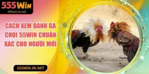 cach-xem-danh-ga-choi-anh-dai-dien