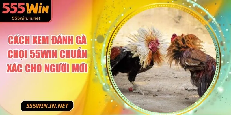 cach-xem-danh-ga-choi-anh-dai-dien