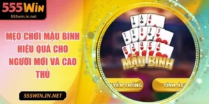 meo-choi-mau-binh-anh-dai-dien