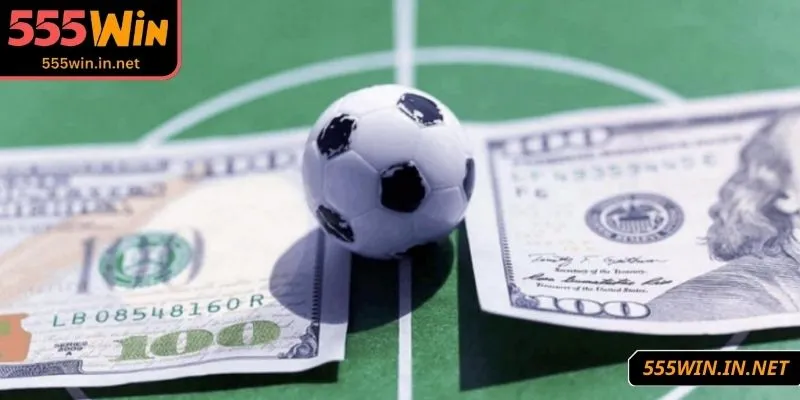 nhung-loai-keo-nao-khong-nen-cuoc-hieu-ro-tung-loai